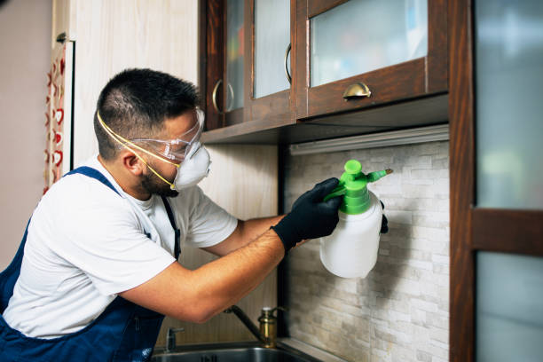 Wasp Removal Services in Sullivan, IN