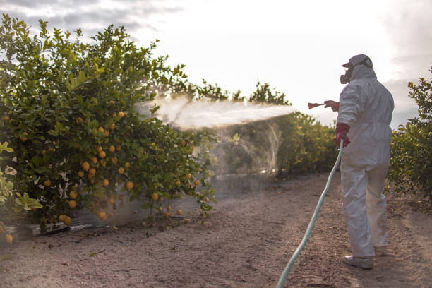 Best Residential Pest Control  in Sullivan, IN