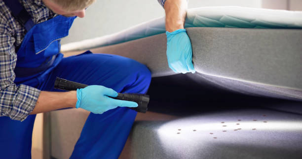 Best Pest Inspection Near Me  in Sullivan, IN