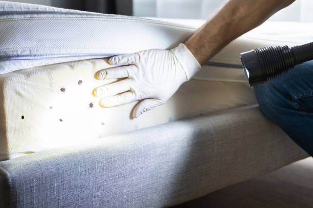 Best Pest Control Near Me  in Sullivan, IN