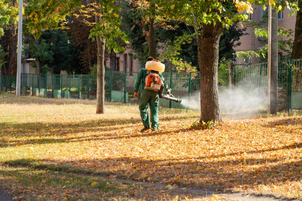 Wildlife Control Services in Sullivan, IN