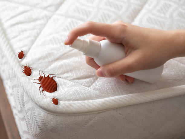 Best Emergency Pest Control  in Sullivan, IN