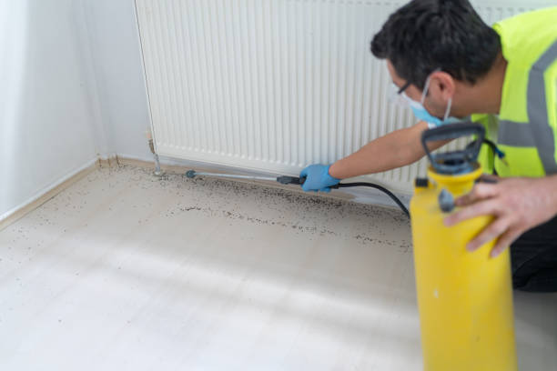 Best Pest Control for Restaurants  in Sullivan, IN